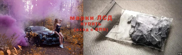 спиды Аркадак
