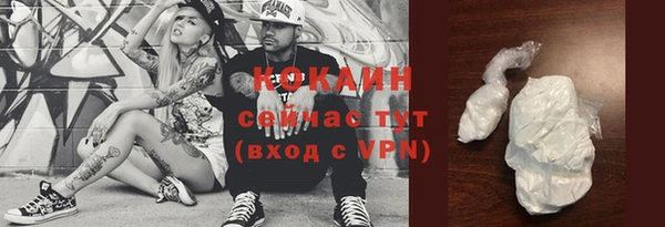 шишки Армянск