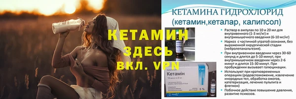 шишки Армянск