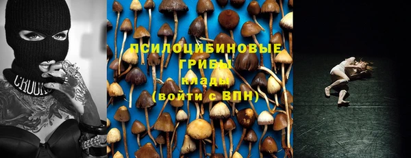 спиды Аркадак