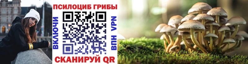 закладки  Устюжна  Галлюциногенные грибы Magic Shrooms 